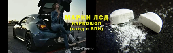 шишки Балахна