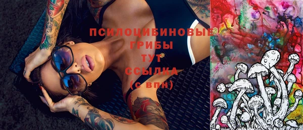 шишки Балахна