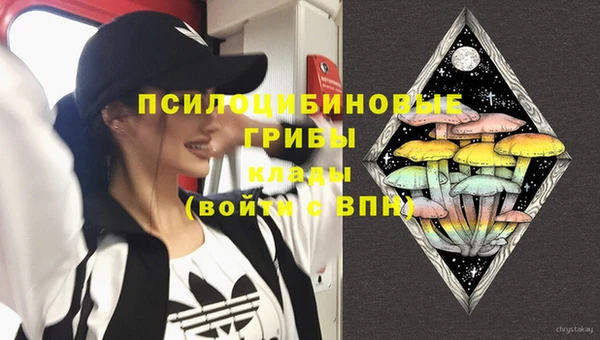 шишки Балахна