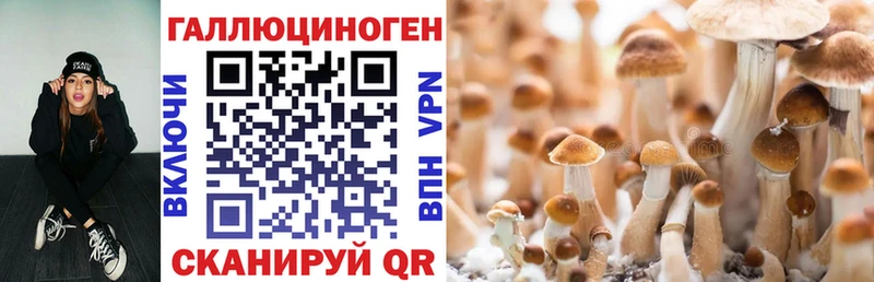 Галлюциногенные грибы мицелий Вяземский